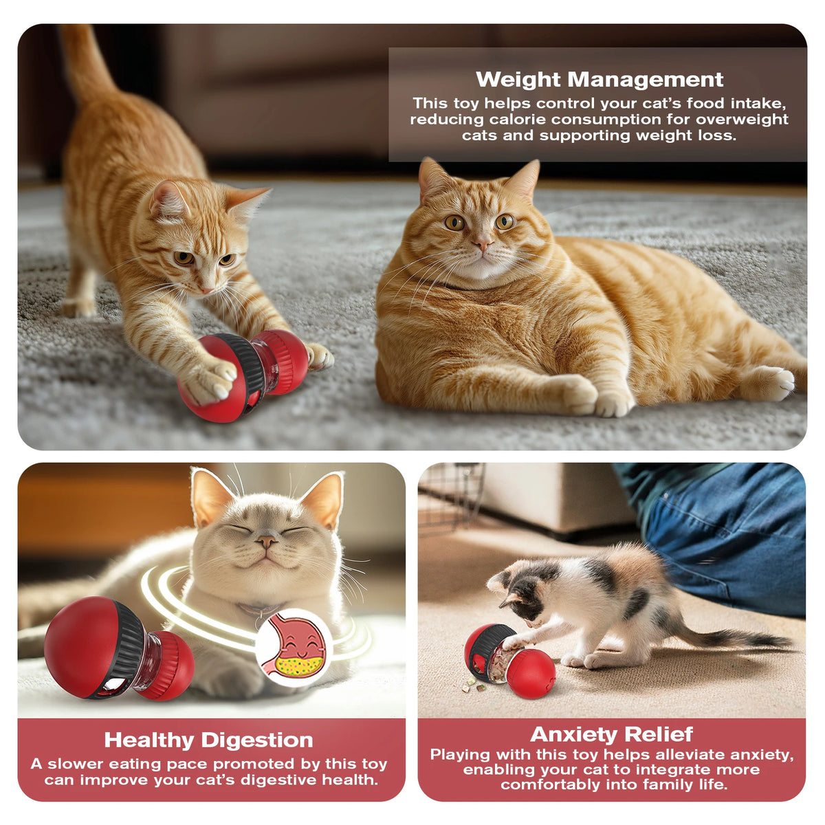 Cat Laser Toy Automatic Rechargeable Motion Random Activated Interactive Cat Toys for Indoor Cats/Dog/Kittne Slow and Fast Mode